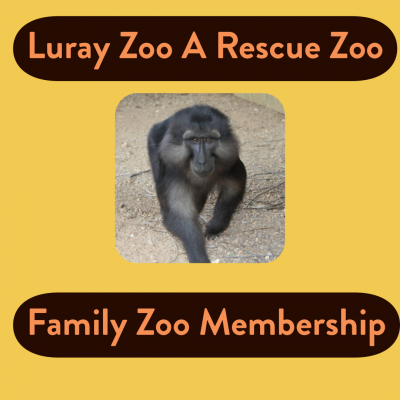 Family Zoo Membership